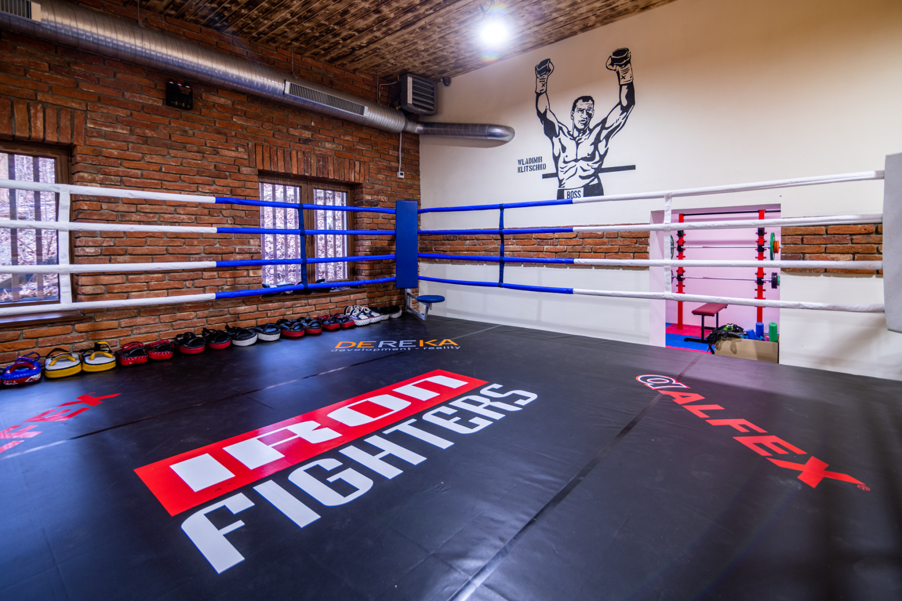Ring - místo pro zápasy a sparring